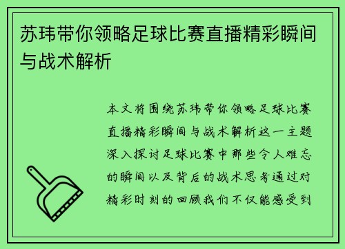 苏玮带你领略足球比赛直播精彩瞬间与战术解析